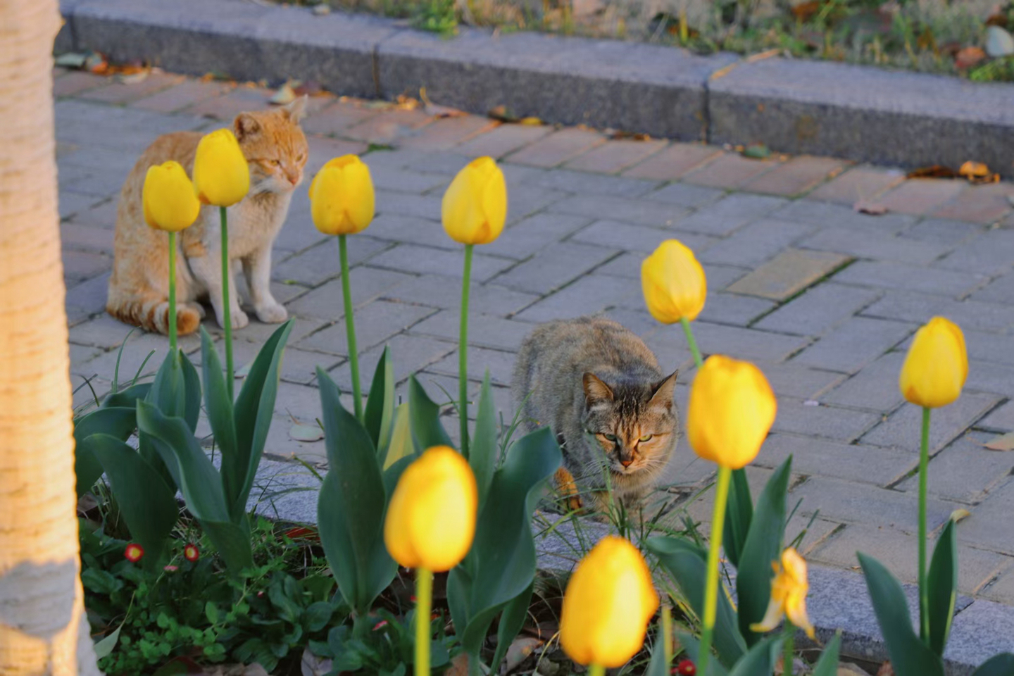 suncitygroup太阳集团