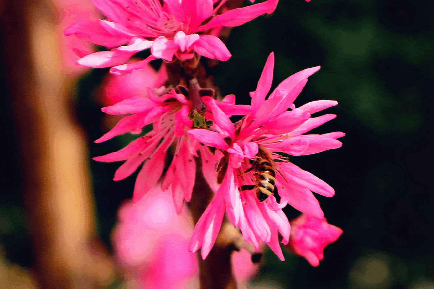 suncitygroup太阳集团