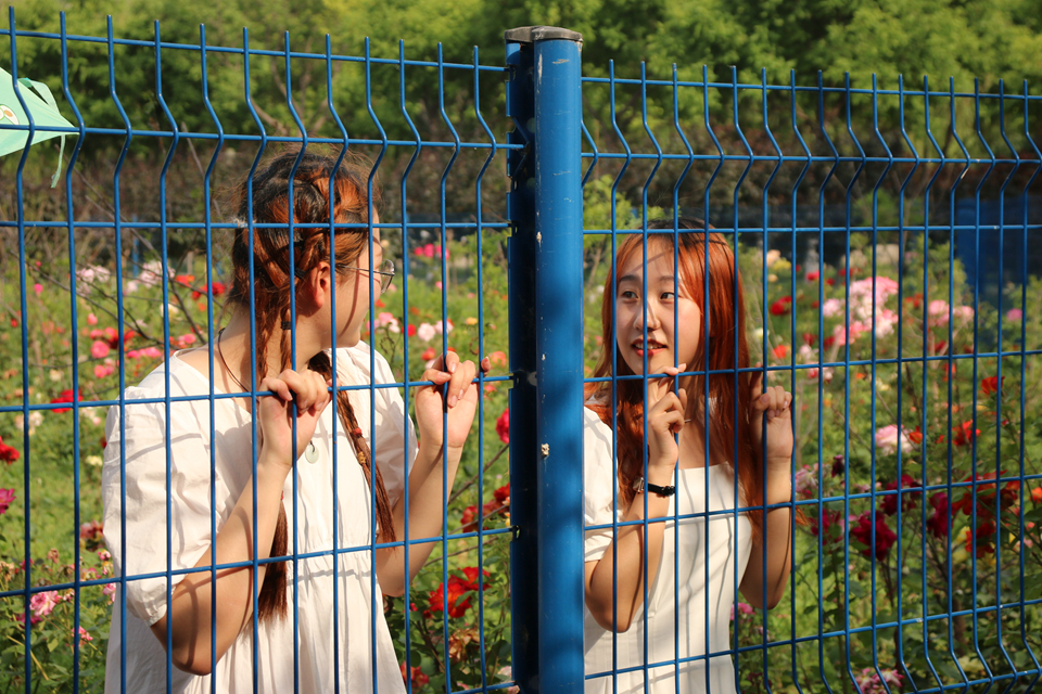 suncitygroup太阳集团