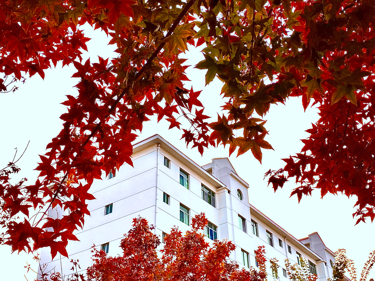 suncitygroup太阳集团