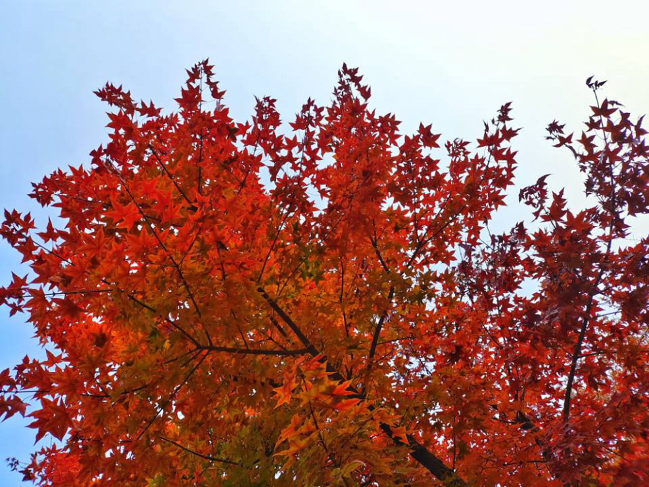 suncitygroup太阳集团