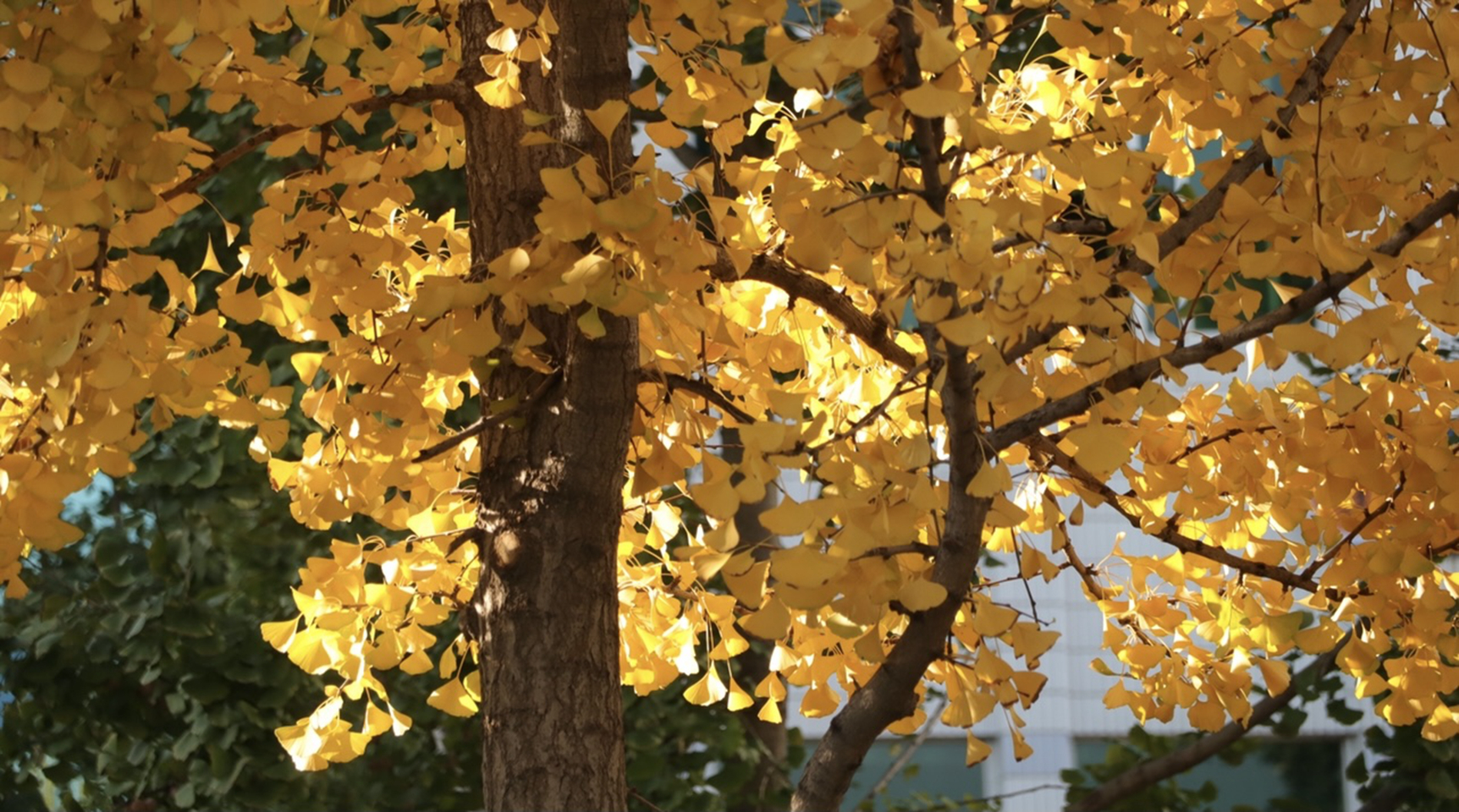 suncitygroup太阳集团