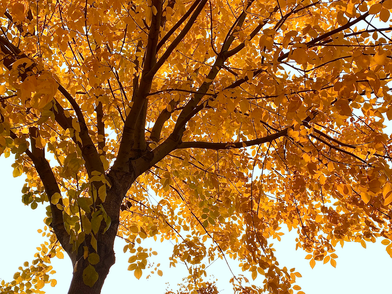 suncitygroup太阳集团