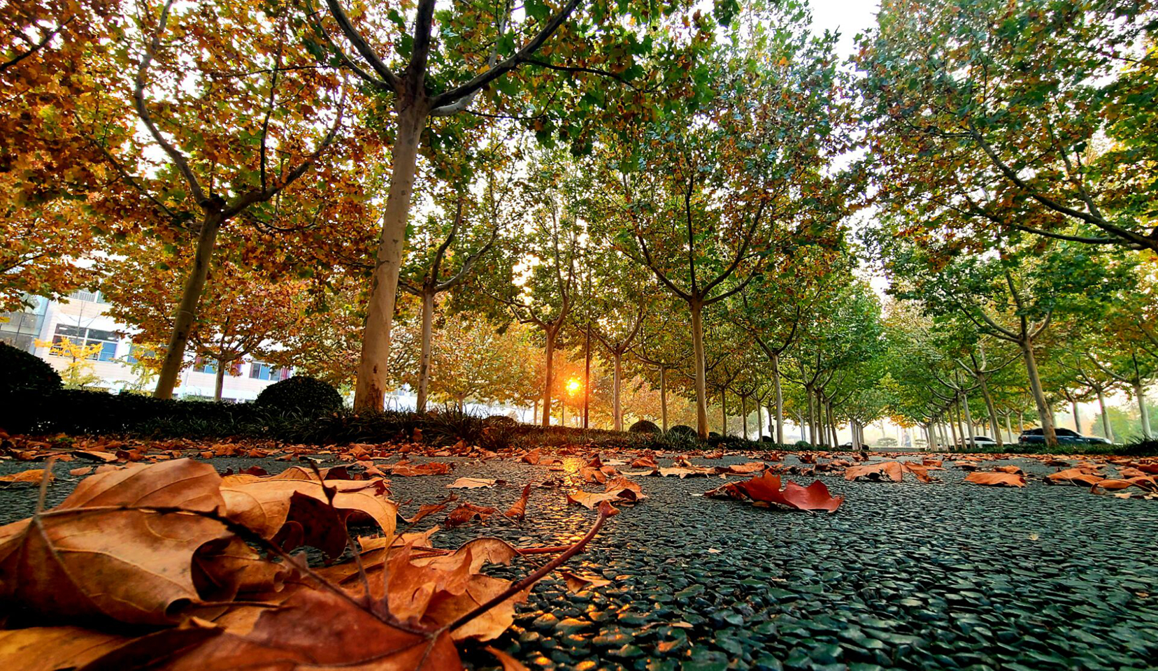 suncitygroup太阳集团