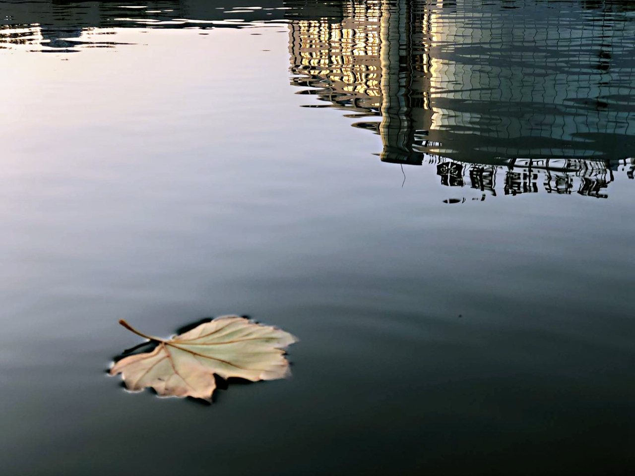 suncitygroup太阳集团