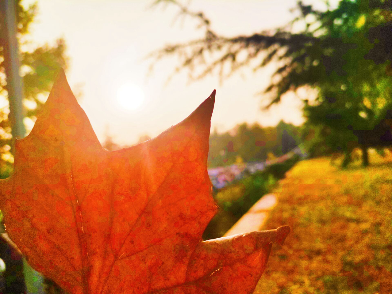 suncitygroup太阳集团