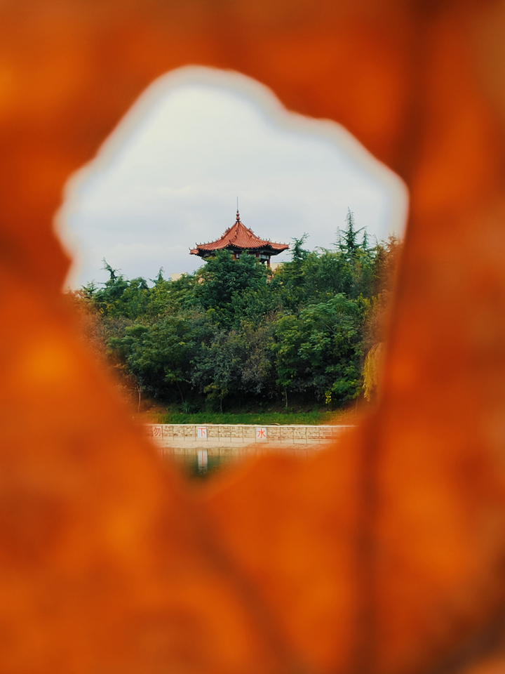 suncitygroup太阳集团