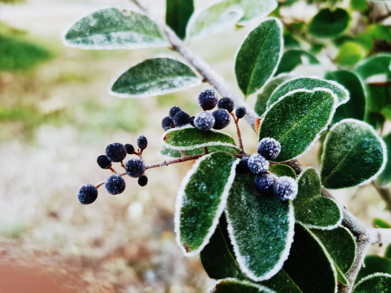 suncitygroup太阳集团