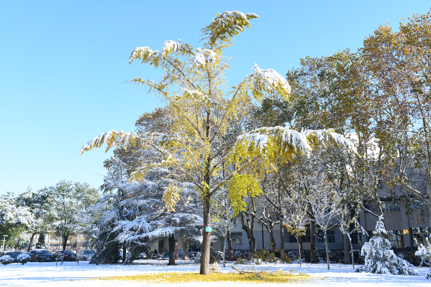 suncitygroup太阳集团