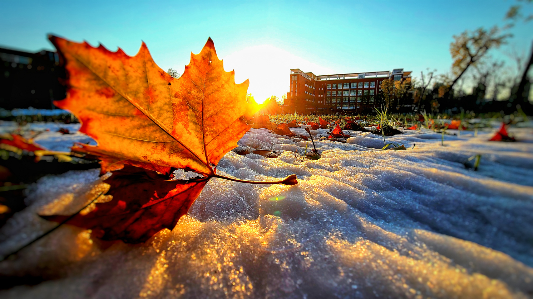 suncitygroup太阳集团