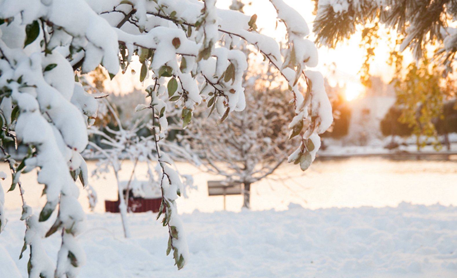 suncitygroup太阳集团