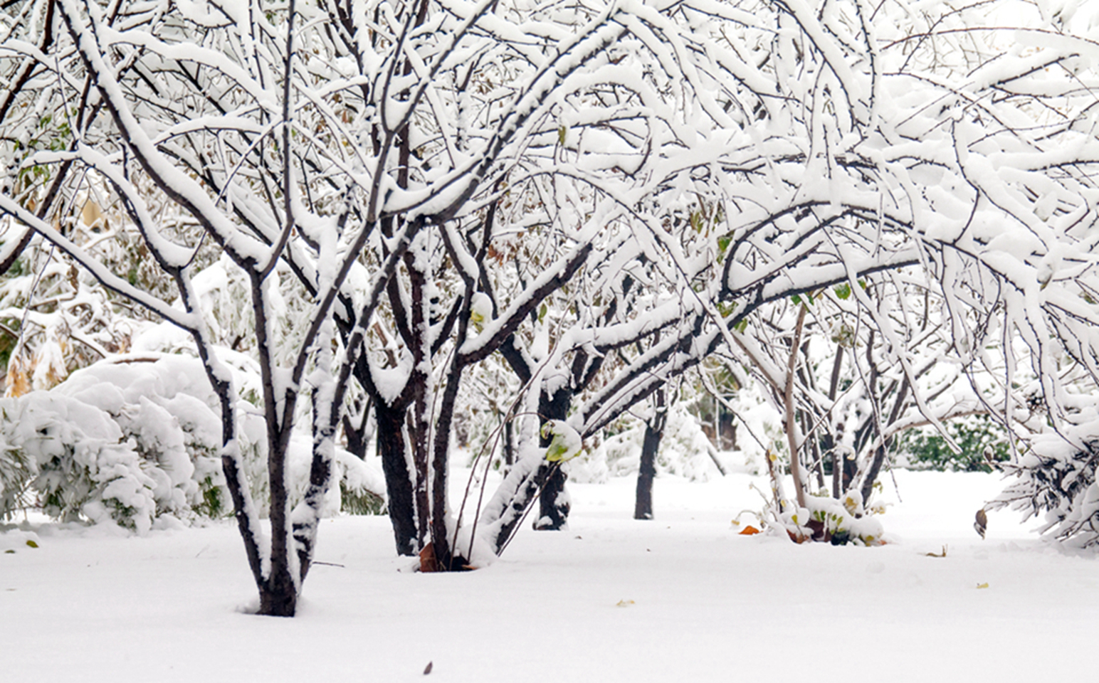 suncitygroup太阳集团