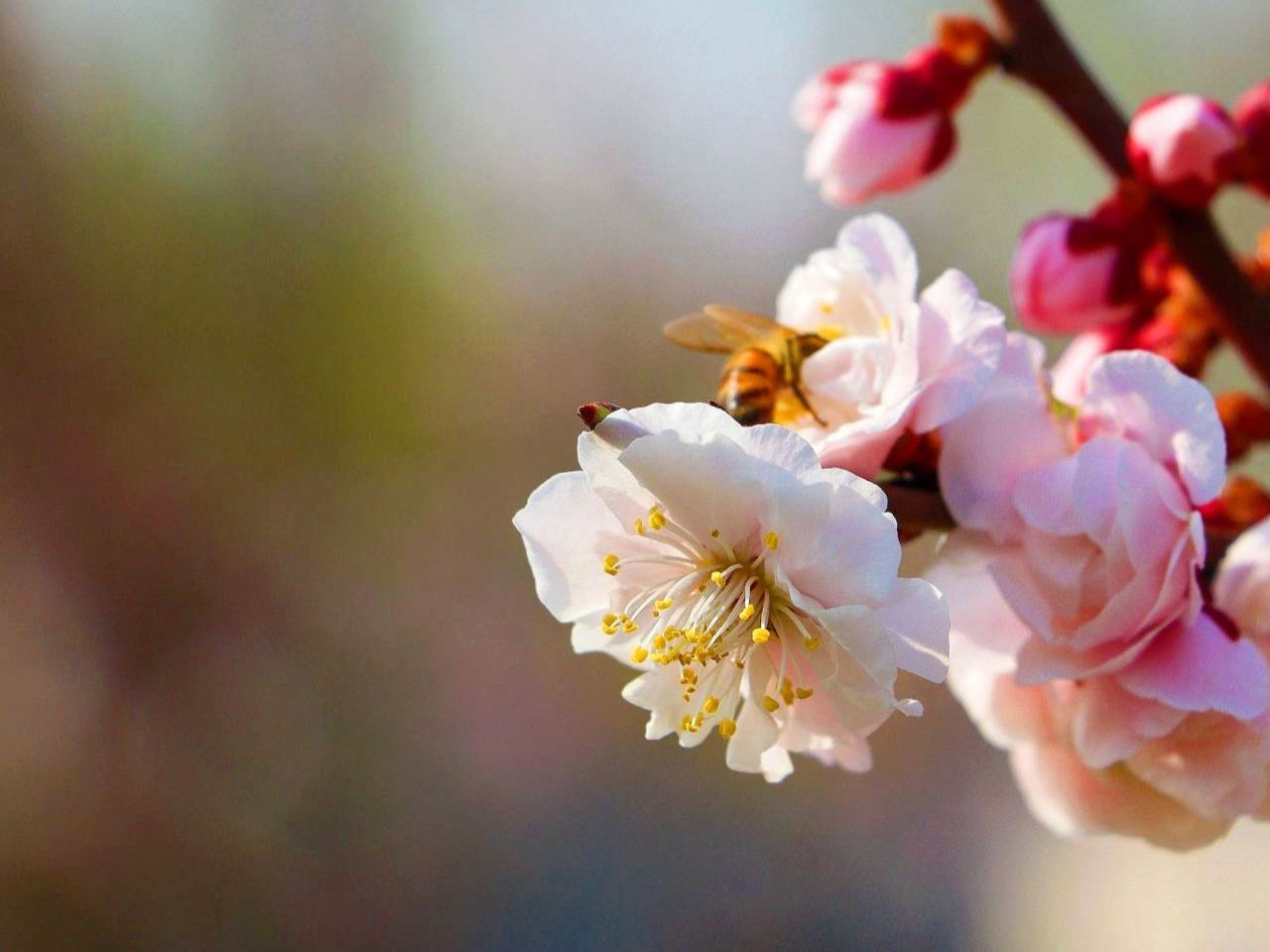 suncitygroup太阳集团