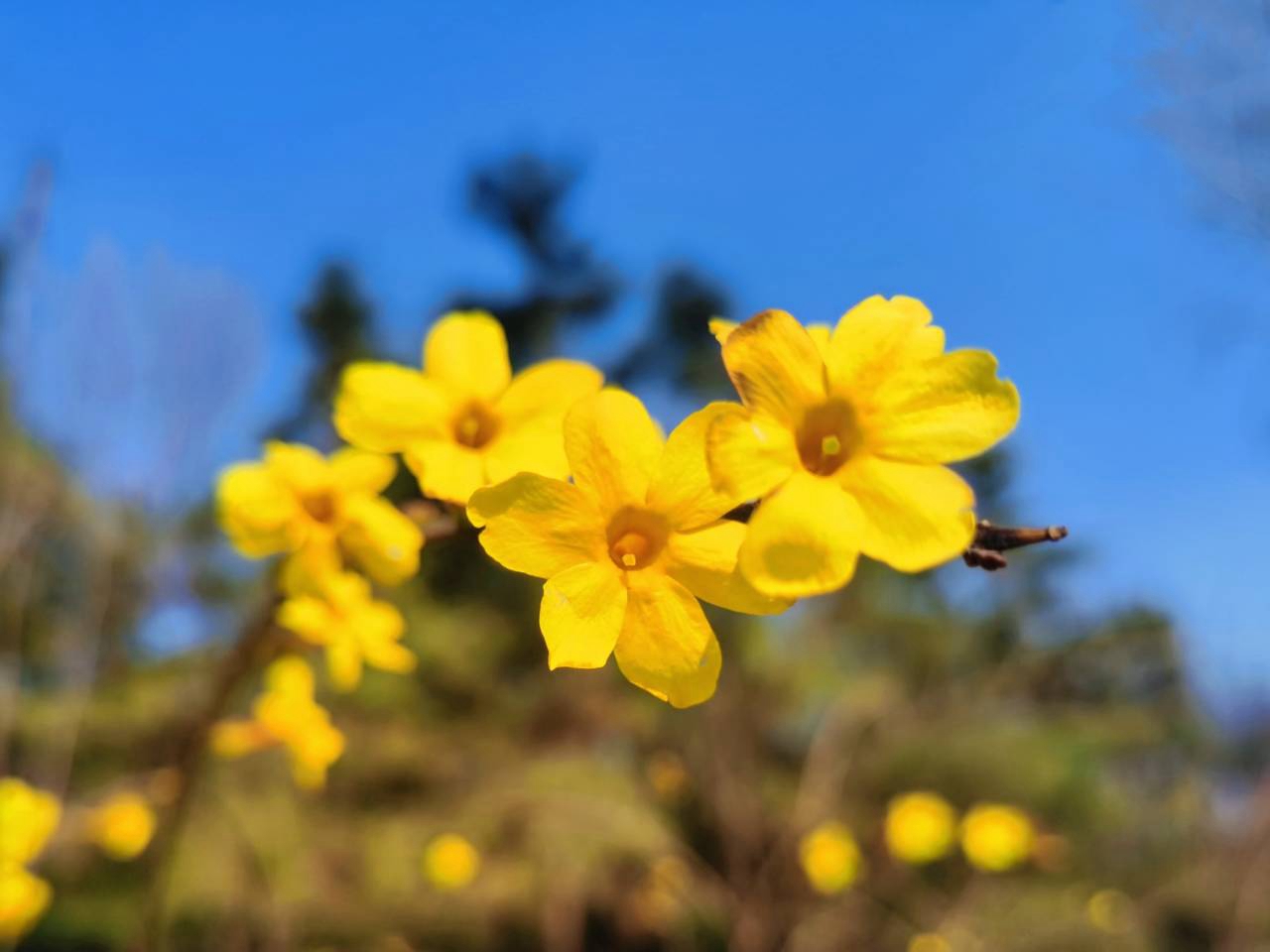 suncitygroup太阳集团