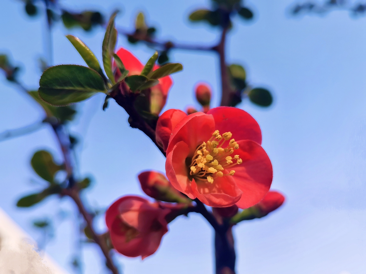 suncitygroup太阳集团