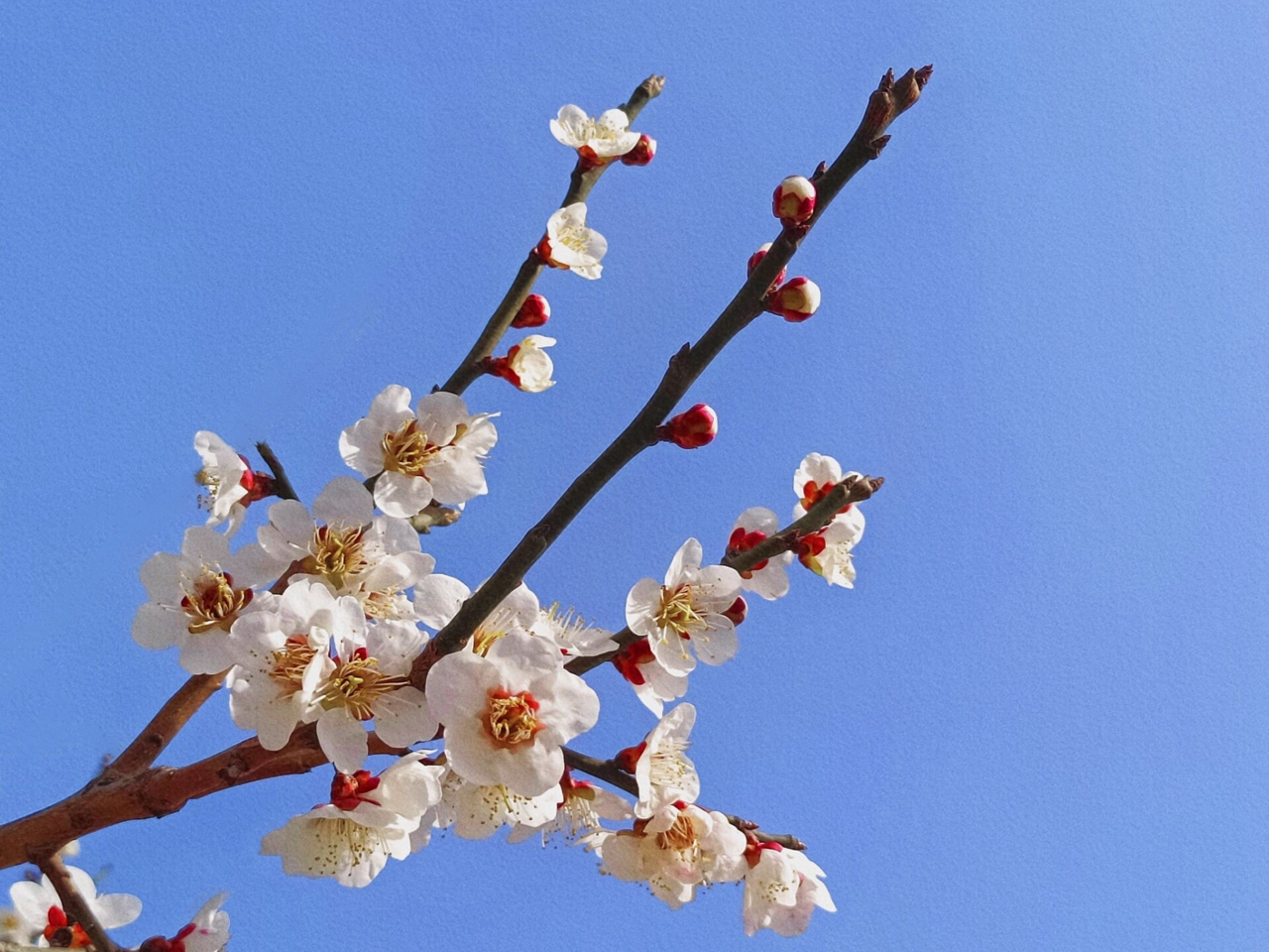 suncitygroup太阳集团