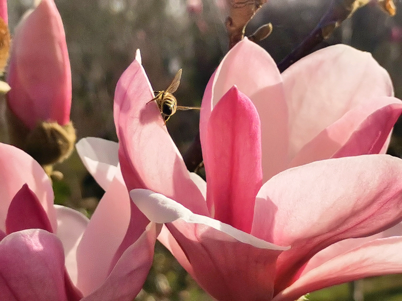 suncitygroup太阳集团