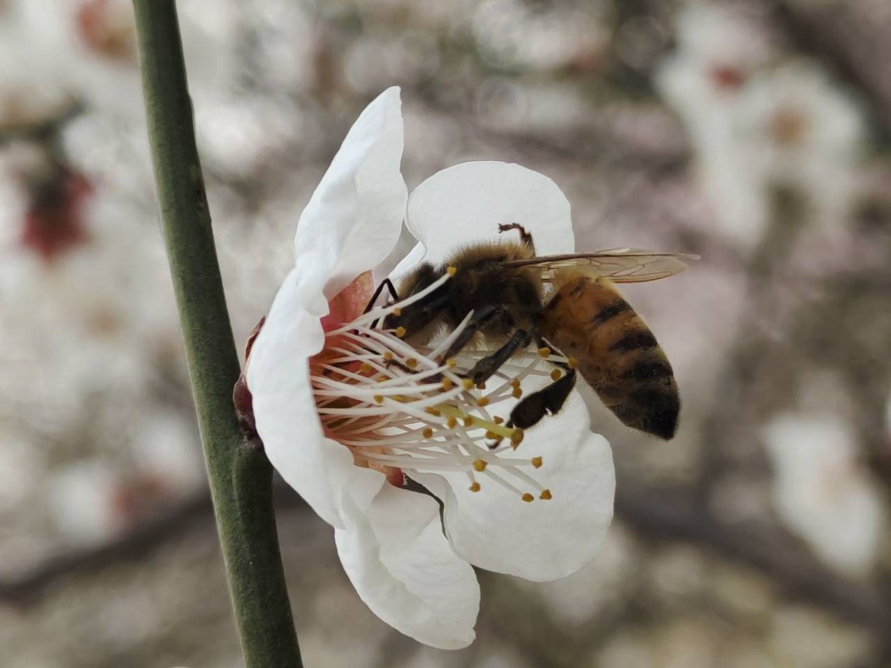 suncitygroup太阳集团