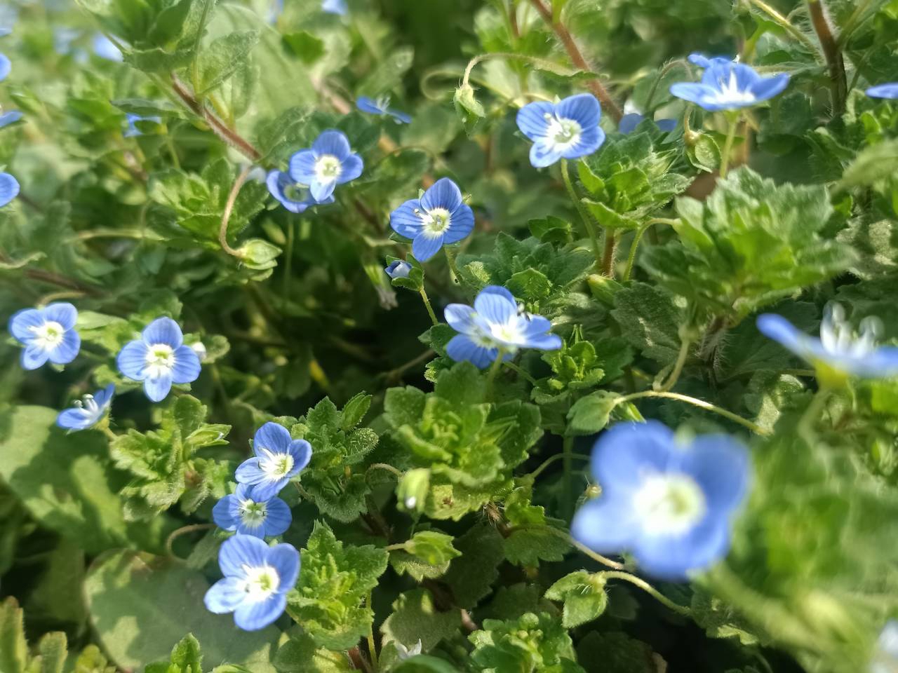 suncitygroup太阳集团