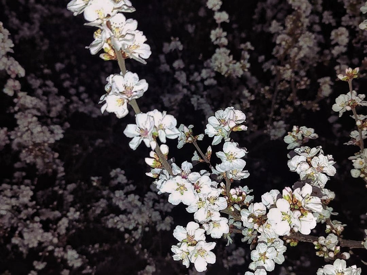 suncitygroup太阳集团