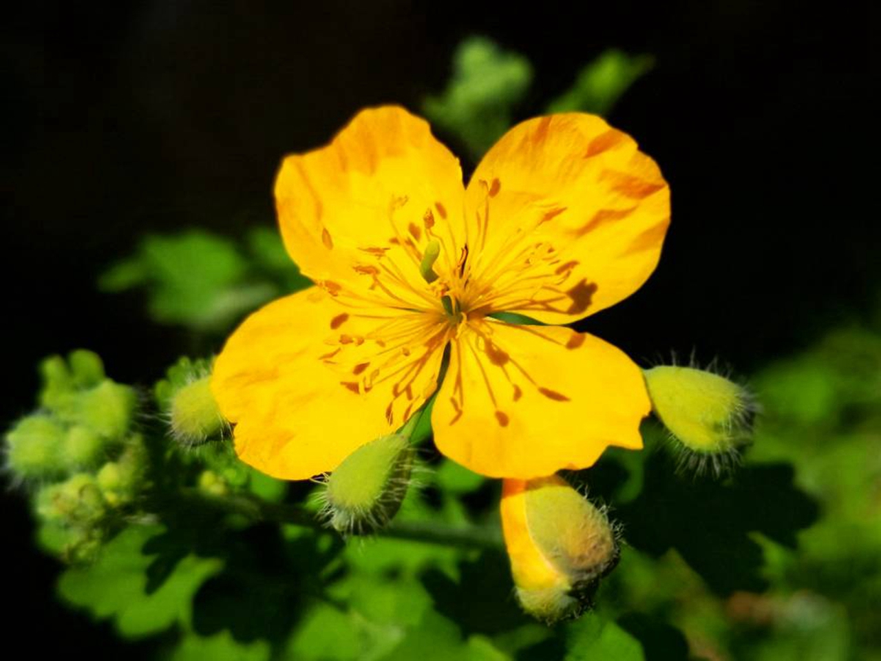 suncitygroup太阳集团