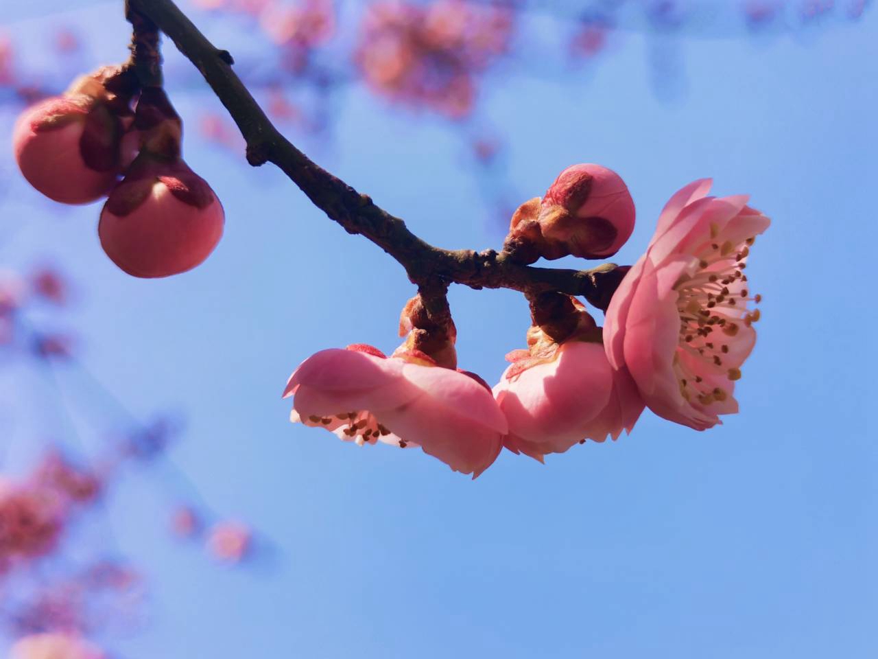 suncitygroup太阳集团