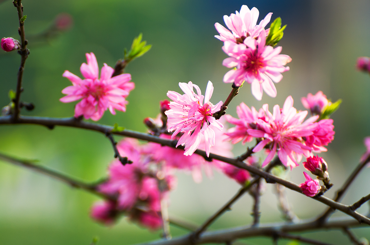 suncitygroup太阳集团