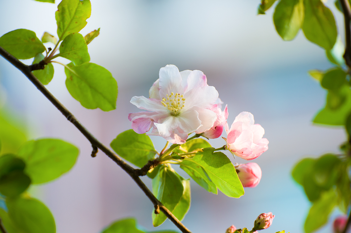 suncitygroup太阳集团