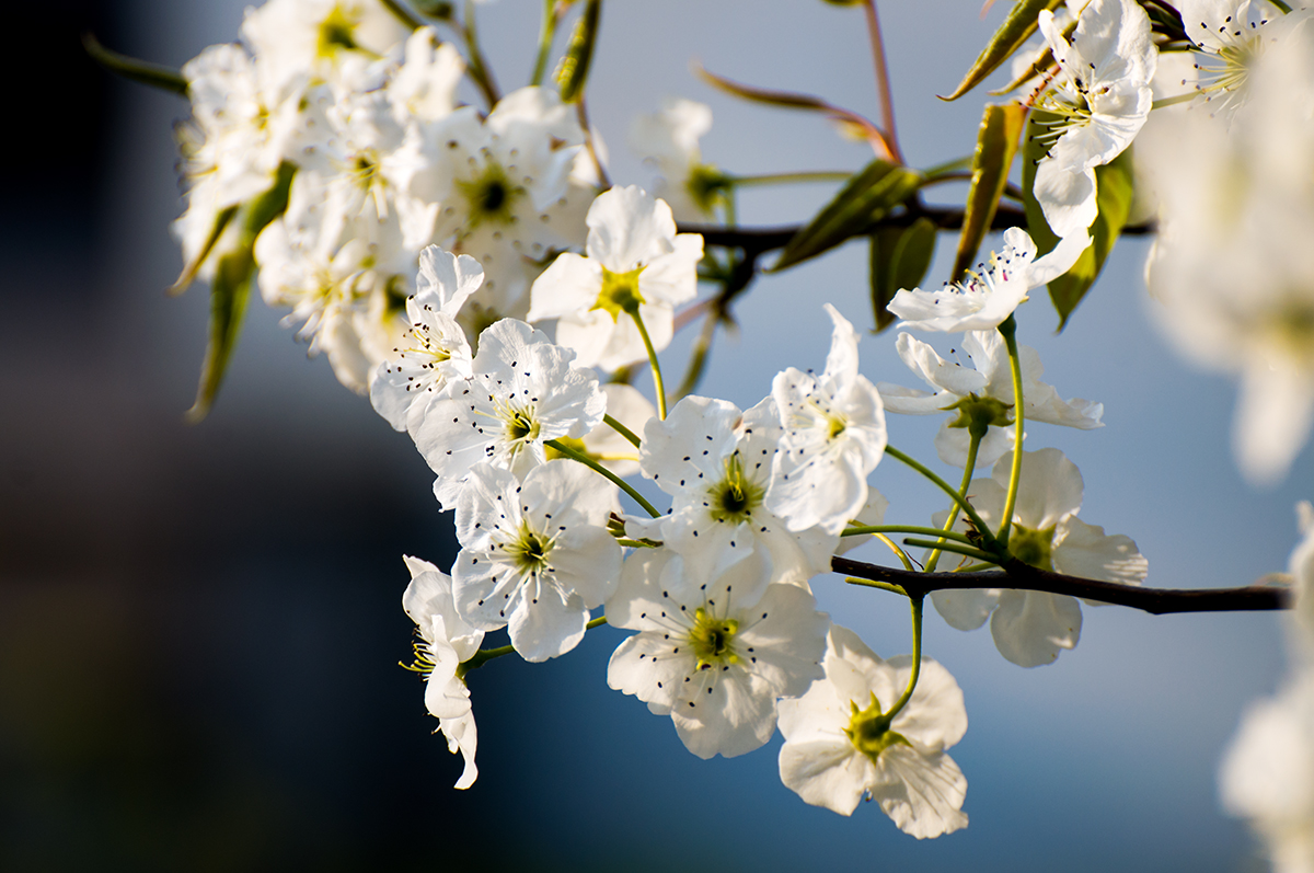 suncitygroup太阳集团