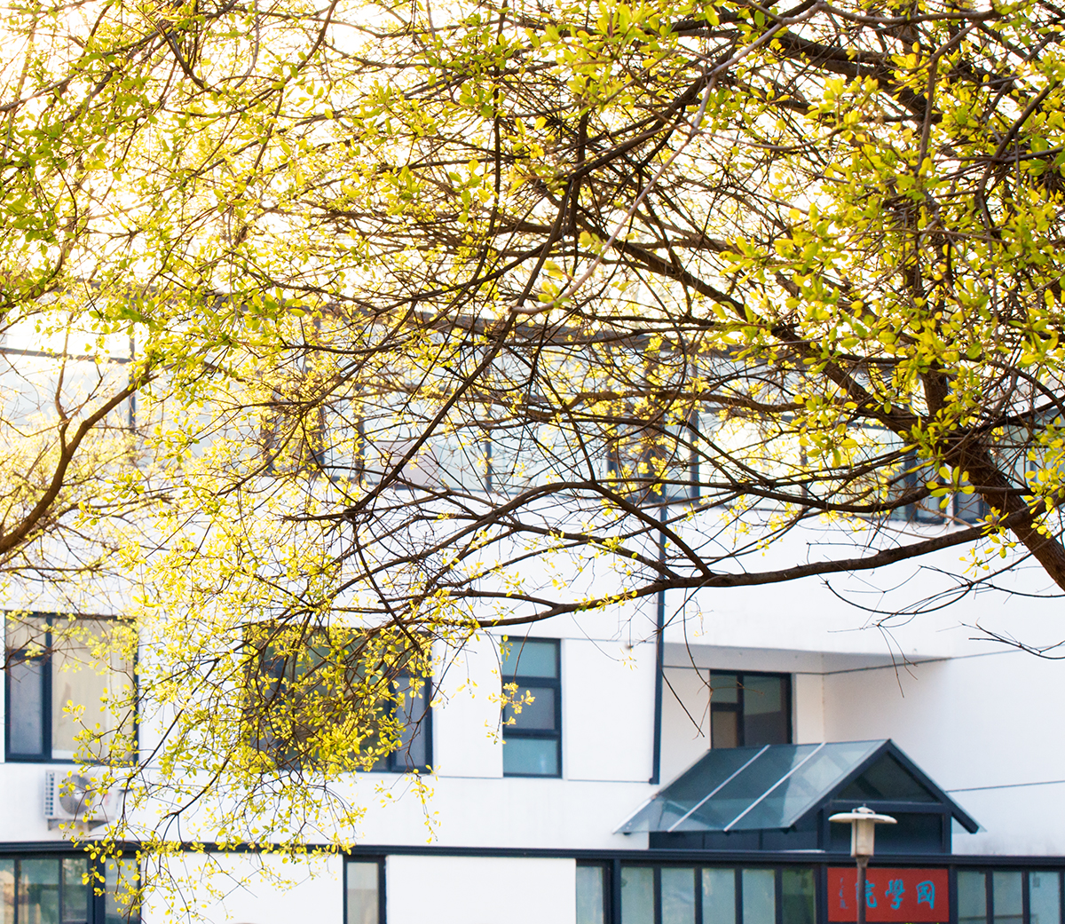 suncitygroup太阳集团