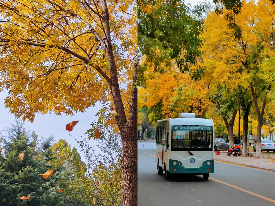 suncitygroup太阳集团