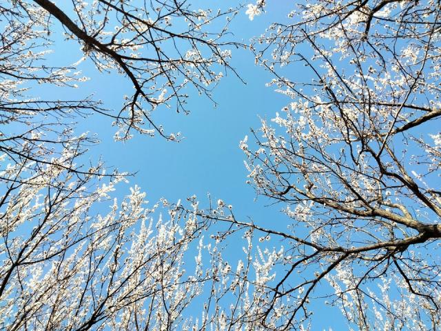 suncitygroup太阳集团