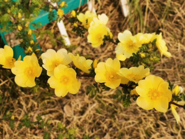 suncitygroup太阳集团