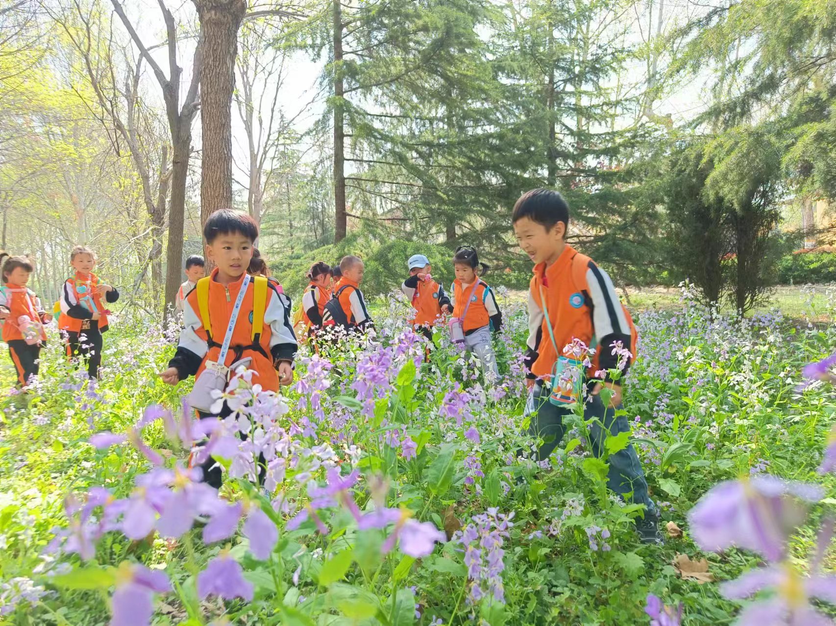 suncitygroup太阳集团