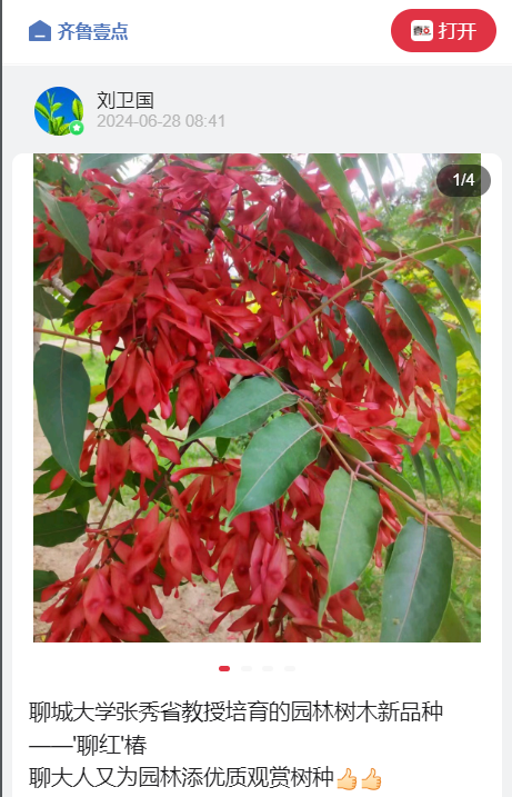 suncitygroup太阳集团