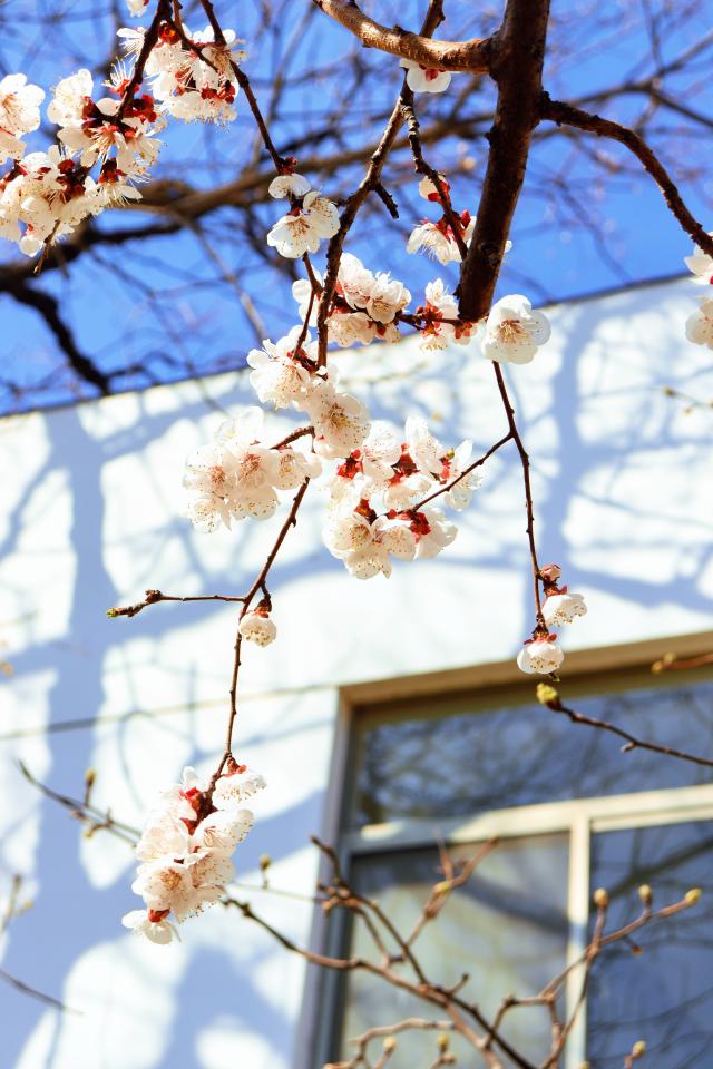 suncitygroup太阳集团