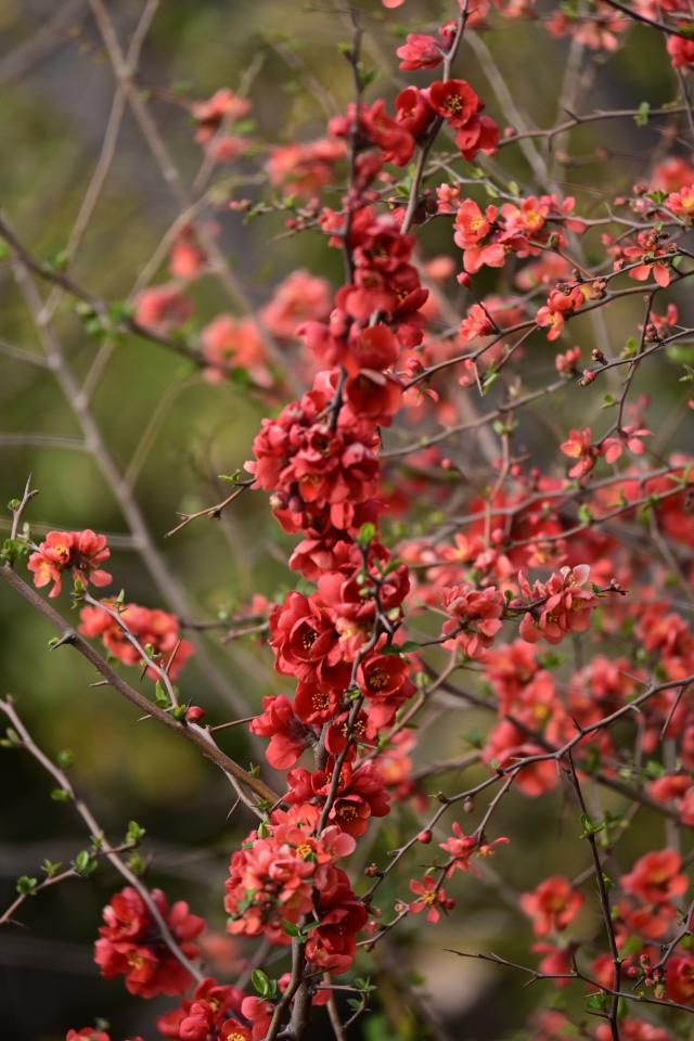 suncitygroup太阳集团