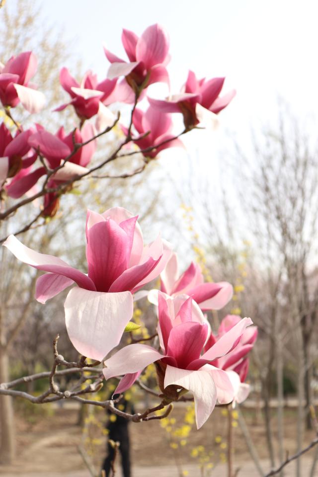 suncitygroup太阳集团