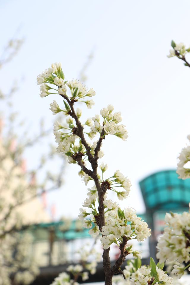 suncitygroup太阳集团