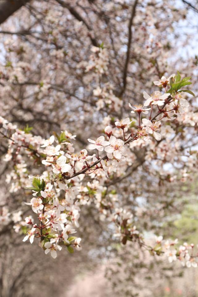 suncitygroup太阳集团