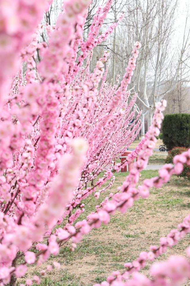 suncitygroup太阳集团