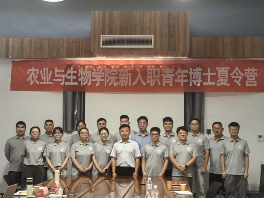 suncitygroup太阳集团