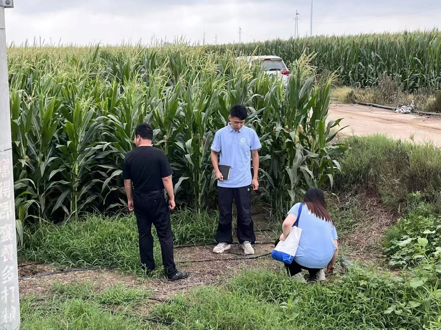 suncitygroup太阳集团