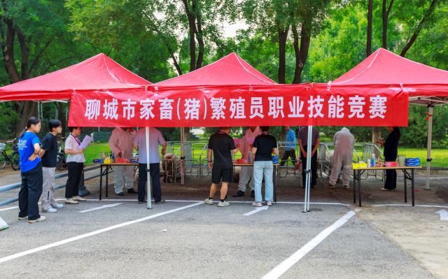 suncitygroup太阳集团