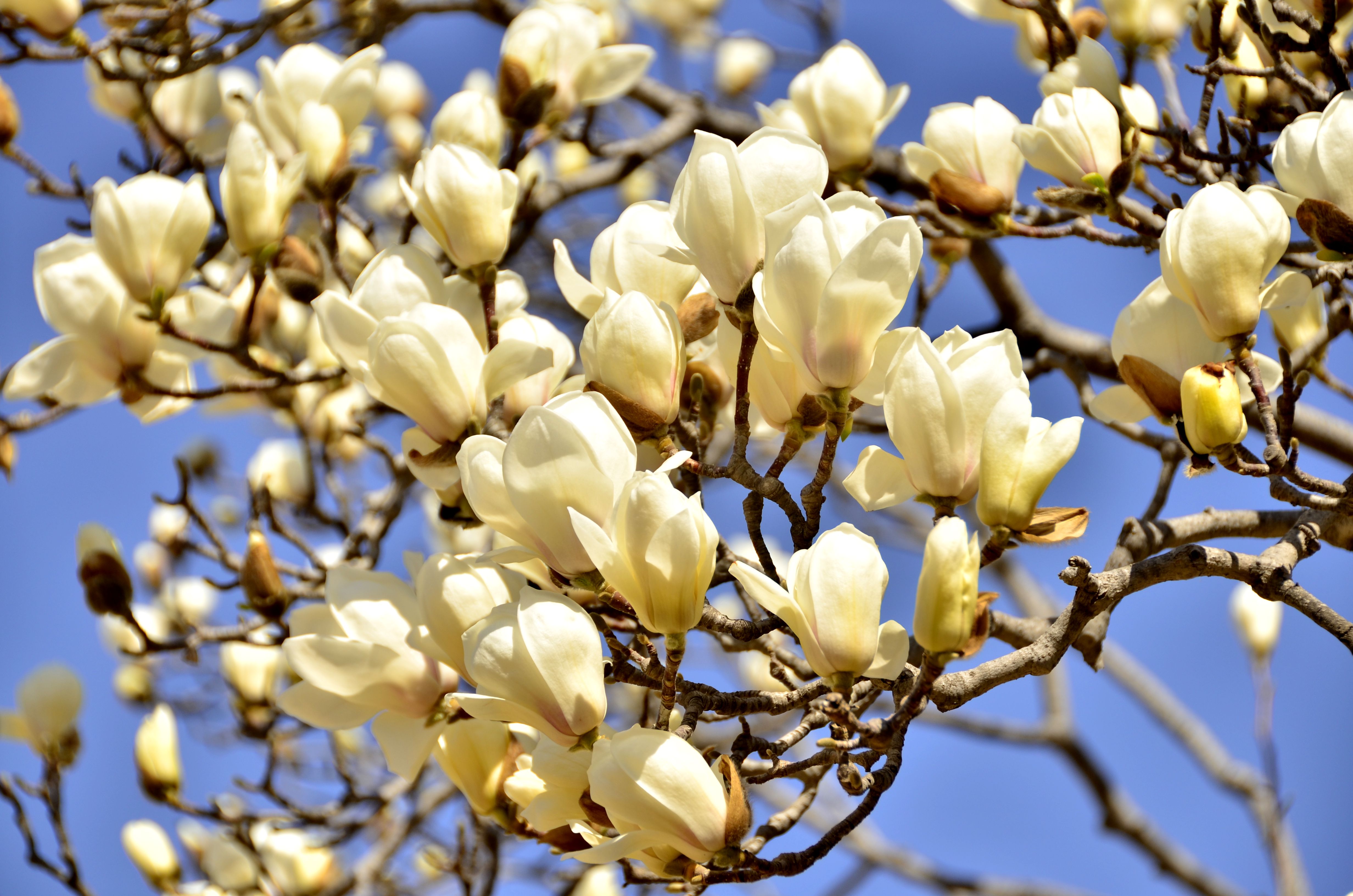 suncitygroup太阳集团