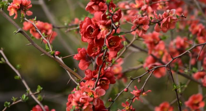 suncitygroup太阳集团