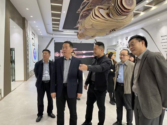 suncitygroup太阳集团