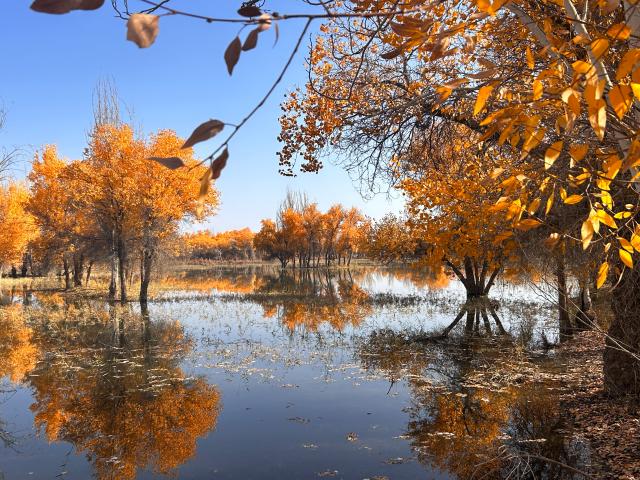 suncitygroup太阳集团