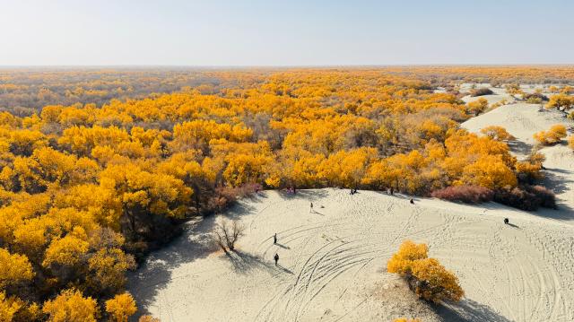 suncitygroup太阳集团