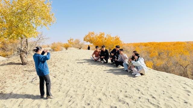 suncitygroup太阳集团